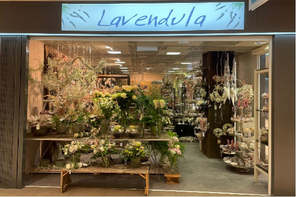 Lavendula Shoppyland