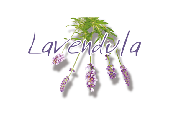 Lavendula